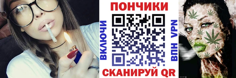 Канабис OG Kush Афипский